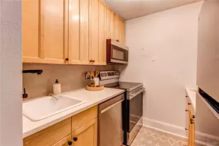 1233 N Ogden Street, Denver, CO 80218 - Photo 5