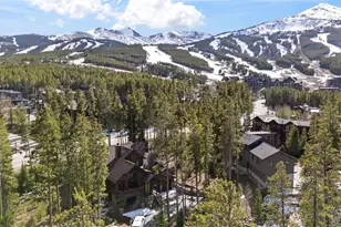 67 North Woods Ln, Breckenridge, CO 80424 - Photo 7