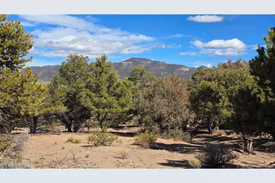 Lot 409 Williams Road, Fort Garland, CO 81133 - Photo 7