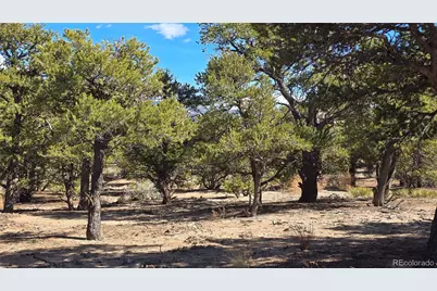 Lot 409 Williams Road, Fort Garland, CO 81133 - Photo 9