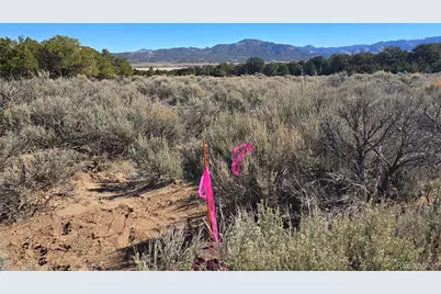 Lot 409 Williams Road, Fort Garland, CO 81133 - Photo 17