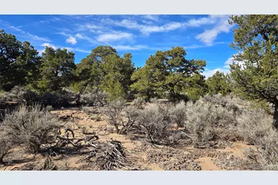 Lot 409 Williams Road, Fort Garland, CO 81133 - Photo 33