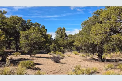 Lot 409 Williams Road, Fort Garland, CO 81133 - Photo 29