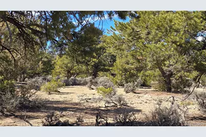 Lot 409 Williams Road, Fort Garland, CO 81133 - Photo 25