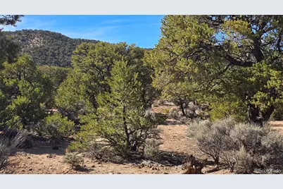 Lot 409 Williams Road, Fort Garland, CO 81133 - Photo 19