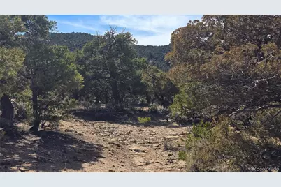 Lot 409 Williams Road, Fort Garland, CO 81133 - Photo 15