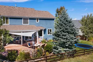 7424 Iridium Way, Castle Rock, CO 80108 - Photo 45