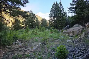 1784 Main, Georgetown, CO 80444 - Photo 1