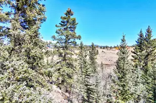 2377 Stagestop Rd, Jefferson, CO 80456 - Photo 27