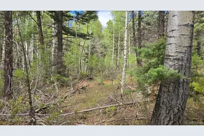 Lot 6269 Shioshita Road, San Luis, CO 81152 - Photo 3