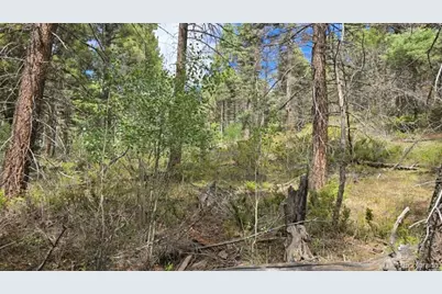Lot 6269 Shioshita Road, San Luis, CO 81152 - Photo 25