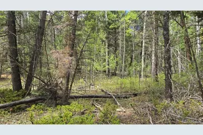 Lot 6269 Shioshita Road, San Luis, CO 81152 - Photo 21