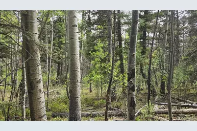 Lot 6269 Shioshita Road, San Luis, CO 81152 - Photo 15