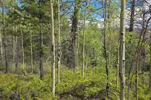 Lot 6269 Shioshita Rd, San Luis, CO 81152 - Photo 1