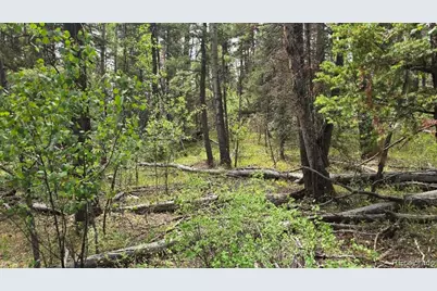 Lot 6269 Shioshita Road, San Luis, CO 81152 - Photo 23