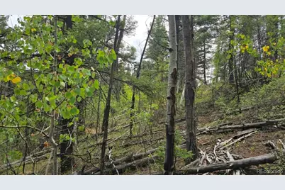 Lot 6269 Shioshita Road, San Luis, CO 81152 - Photo 13