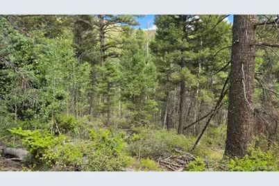 Lot 6269 Shioshita Road, San Luis, CO 81152 - Photo 9