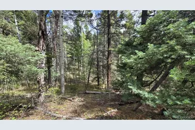 Lot 6269 Shioshita Road, San Luis, CO 81152 - Photo 29