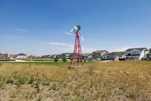 9895 Ceylon Ct, Commerce City, CO 80022 - Photo 41