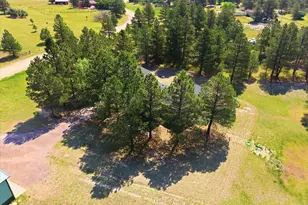 482 Panorama Dr, Elizabeth, CO 80107 - Photo 47