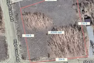 3538 High Creek Rd, Fairplay, CO 80440 - Photo 17