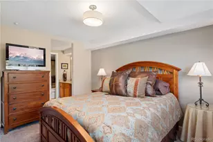 73 Pelican Cir, Breckenridge, CO 80424 - Photo 17