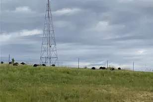 575 Howling Cir, Elizabeth, CO 80107 - Photo 47