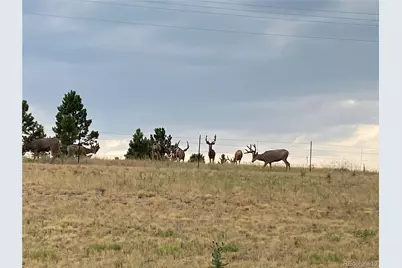 575 Howling Circle, Elizabeth, CO 80107 - Photo 45