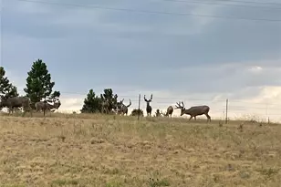 575 Howling Cir, Elizabeth, CO 80107 - Photo 43