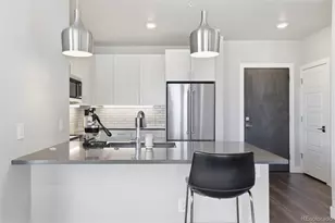 20 Wilcox Street, Castle Rock, CO 80104 - Photo 13