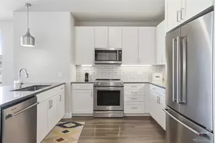 20 Wilcox Street, Castle Rock, CO 80104 - Photo 11