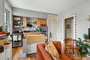 1646 N High St, Denver, CO 80218 - Photo 31