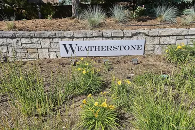 10633 Edgemont Court, Highlands Ranch, CO 80129 - Photo 47