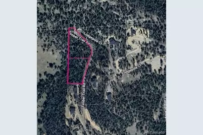 7141 Timber Trail Road, Evergreen, CO 80439 - Photo 9