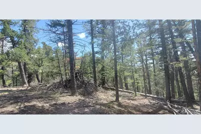 Lot 6764 Kerrigan Road, Fort Garland, CO 81133 - Photo 9