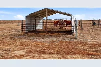 3374 County Road P, Wiggins, CO 80654 - Photo 39