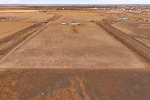 3374 Co Rd P, Wiggins, CO 80654 - Photo 43