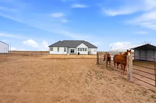 3374 Co Rd P, Wiggins, CO 80654 - Photo 35