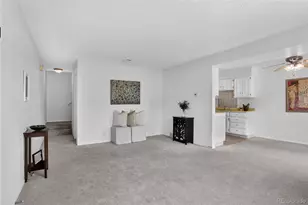 9964 Orangewood Dr, Denver, CO 80260 - Photo 3
