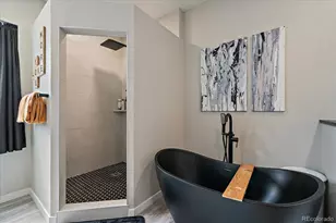 8169 S Catawba Ct, Aurora, CO 80016 - Photo 21