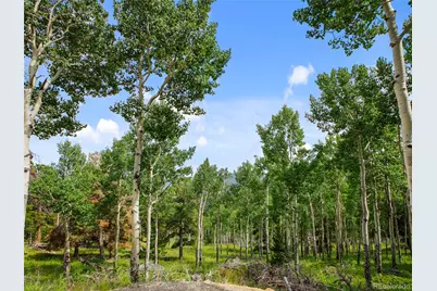 3665 Beaver Brook Canyon Road, Evergreen, CO 80439 - Photo 23