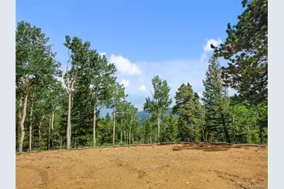 3665 Beaver Brook Canyon Road, Evergreen, CO 80439 - Photo 19