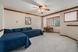 9873 Greensview Cir, Lone Tree, CO 80124 - Photo 21