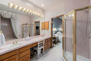 9873 Greensview Cir, Lone Tree, CO 80124 - Photo 19