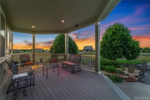881 Kirby Ct, Watkins, CO 80137 - Photo 5
