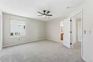 7755 Solstice Way, Castle Rock, CO 80108 - Photo 35