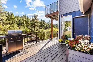 7796 Columbine Ln, Sedalia, CO 80135 - Photo 5