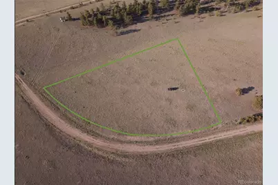 767 Brahma Circle, Hartsel, CO 80449 - Photo 3
