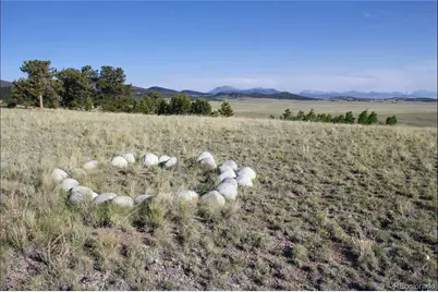 767 Brahma Circle, Hartsel, CO 80449 - Photo 5