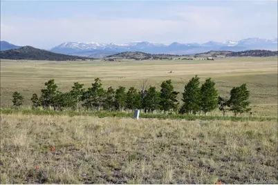 767 Brahma Circle, Hartsel, CO 80449 - Photo 9